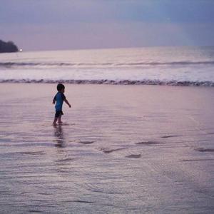 青青草大香焦在线综合视频
